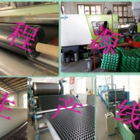 北京绿化专用蓄排水板 价格/厂家/型号