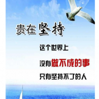 海南公司税收政策投资类公司注册条件