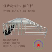 供应母猪定位栏复合板定位栏落地定位栏热镀锌加厚批发养猪设备