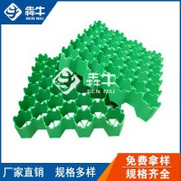 桂林市消防车道塑料植草格型号齐全