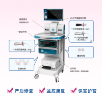 产后康复治疗仪厂家