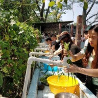 深圳市田中园生态园门票 田中园一日游 农家乐野炊烧烤