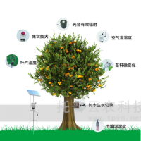 植物生理生态监测系统(植物生理状态、环境因子)