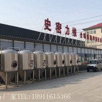 小型啤酒厂酿酒设备厂家精酿啤酒设备厂家量身定制