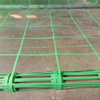 15*15孔绿色钢塑土工格栅 植物攀爬网 边坡爬藤网厂家现货