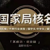 无区域中字头的实业公司现在还能办理么