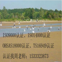 沧州ISO9001三体系认证，ISO9000质量认证