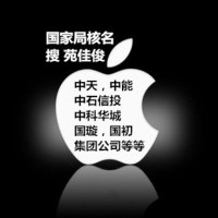 转让中国开头的国家局公司名称