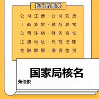 申请国家局无区域实业集团公司名称