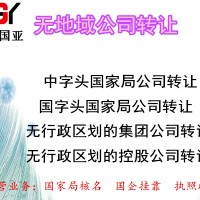 中字头投资管理公司转让 原件齐全