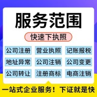 拍卖公司注册流程及要求