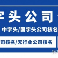 注册中字头公司名称的流程步骤要求