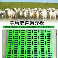 羊场漏粪板供应陕西养羊漏粪板塑料羊粪板保温羊床