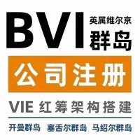 注册BVI公司需要提供的资料以及拿到的资料