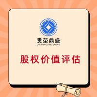 广东省东莞市股权转让评估