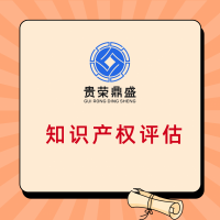 广东省揭阳市计算机软件著作权评估商业秘密评估特许经营权评估