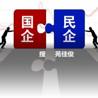 私企挂国企混改怎么收费办理