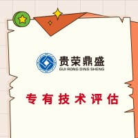 广东省河源市企业无形资产找哪家企业资产价值专业评估今日更新