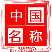 中国开头公司名称如何注册