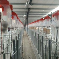 养猪场自动化育肥·母猪料线