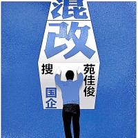 混改央企国企名下的操作流程要求