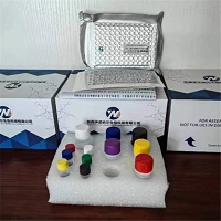 人蛋白ELISA检测试剂盒