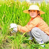 苏州三六六研学旅行户外拓展活动挖红薯割稻子探索体验课报名中