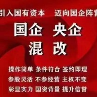 私企办理国企混改需要什么条件