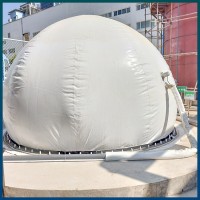 沼气双膜储气柜 球形柔式双膜储气柜 大型沼气工程 双膜沼气