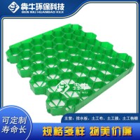 桂林HDPE塑料植草格规格齐全