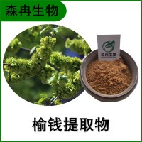 森冉生物 榆钱提取物 榆实浓缩粉 植物提取原料粉