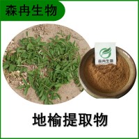 森冉生物 地榆提取物 马胡枣浓缩粉 植物提取原料粉