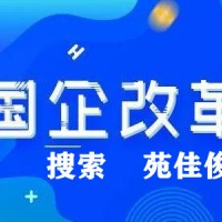 国企和民企混改操作流程模式