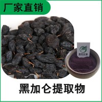 森冉生物 黑加仑提取物 黑加仑果粉 高倍浓缩粉