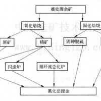 巩义铂思特焙烧处理含碳硫化金精矿，高砷硫化金矿的湿法冶金工艺