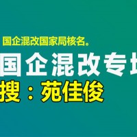 国企混改民营企业混改为国有控股子公司