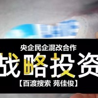 民营企业如何混改国有控股企业