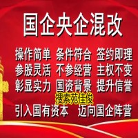 国企混改民营企业股东变更成国有企业