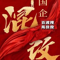 民营企业办理国企混改规定要求方式流程