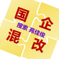 国企与民企合资成立混改公司