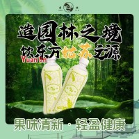 园林牌白柠檬味汽水经典苏州口味经典汽水畅销