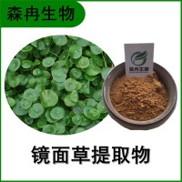 森冉生物 镜面草提取物 翠屏草提取物 比例提取原料粉