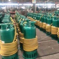BQS矿用隔爆潜水泵体积小 重量轻 使用安全