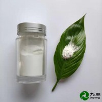 超活性二氧化钛光触媒微珠 CY05Q