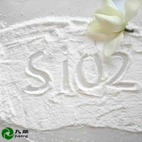高催化活性纳米二氧化钛 CY05