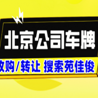 北京车指标汽油牌照和新能源的价格