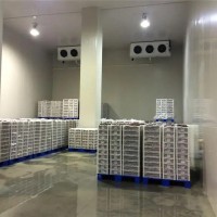 拆除回收二手冷库板旧冷库回收上海回收岩棉板