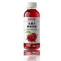 车厘子果汁果味饮固体饮料代加工 生产企业素源堂