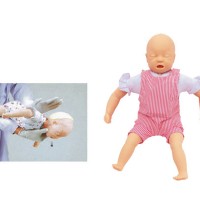 益联医学高级婴儿梗塞模型