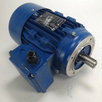 意大利Marelli Motori异步发电机
